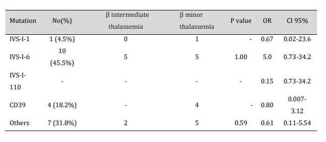 Table 7