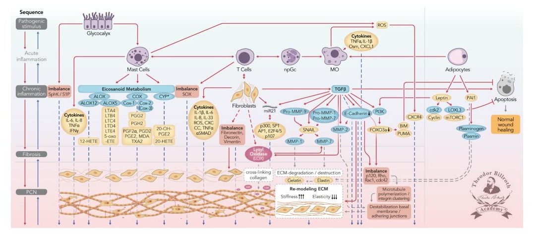 Graphical highlight Part I